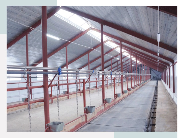 Строительство коровников в Ирбите от 660 руб.