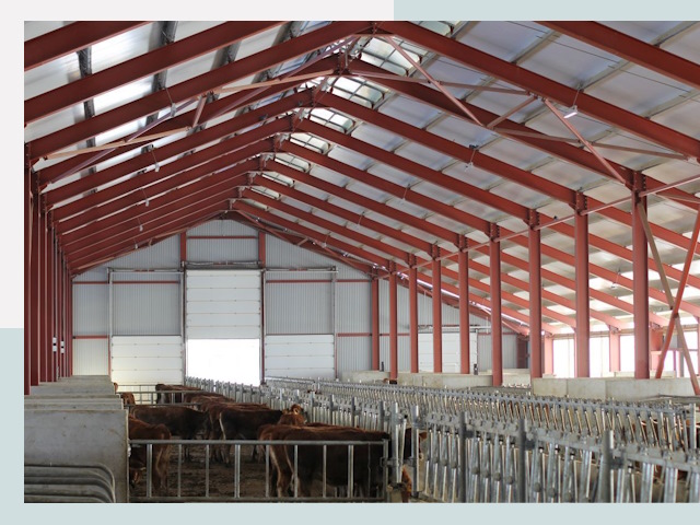 Строительство коровников в Ирбите