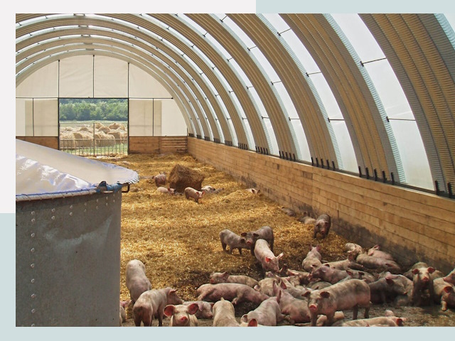 Строительство свинарников в Ирбите