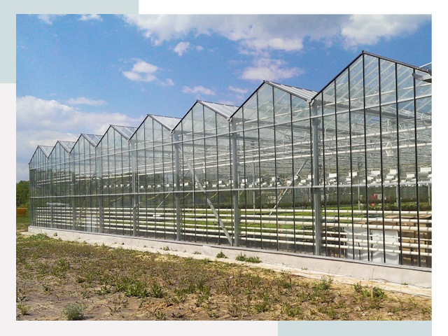 Строительство теплиц в Ирбит от 660 руб. за м²